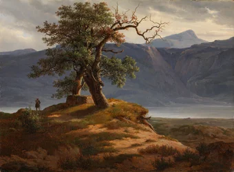 Paisagem com um caminhante